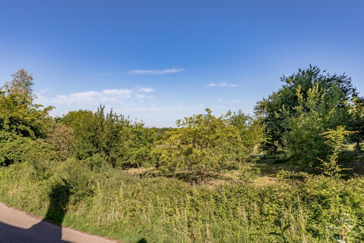 Danny Lodge - Country Cottage Near Brighton By Huluki Sussex Stays Hurstpierpoint 외부 사진