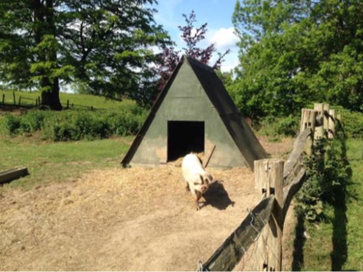 Danny Lodge - Country Cottage Near Brighton By Huluki Sussex Stays Hurstpierpoint 외부 사진